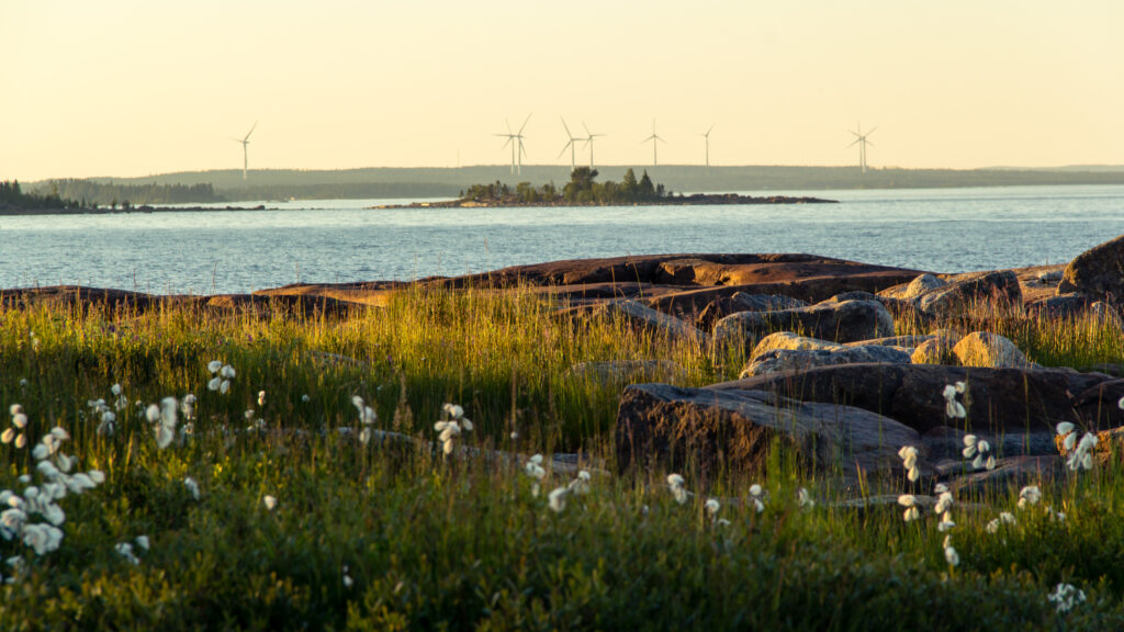 Solnedgång vid kusten i Robertsfors med vindkraftverk i bakgrunden – ett exempel på förnybar energi i kommunen.