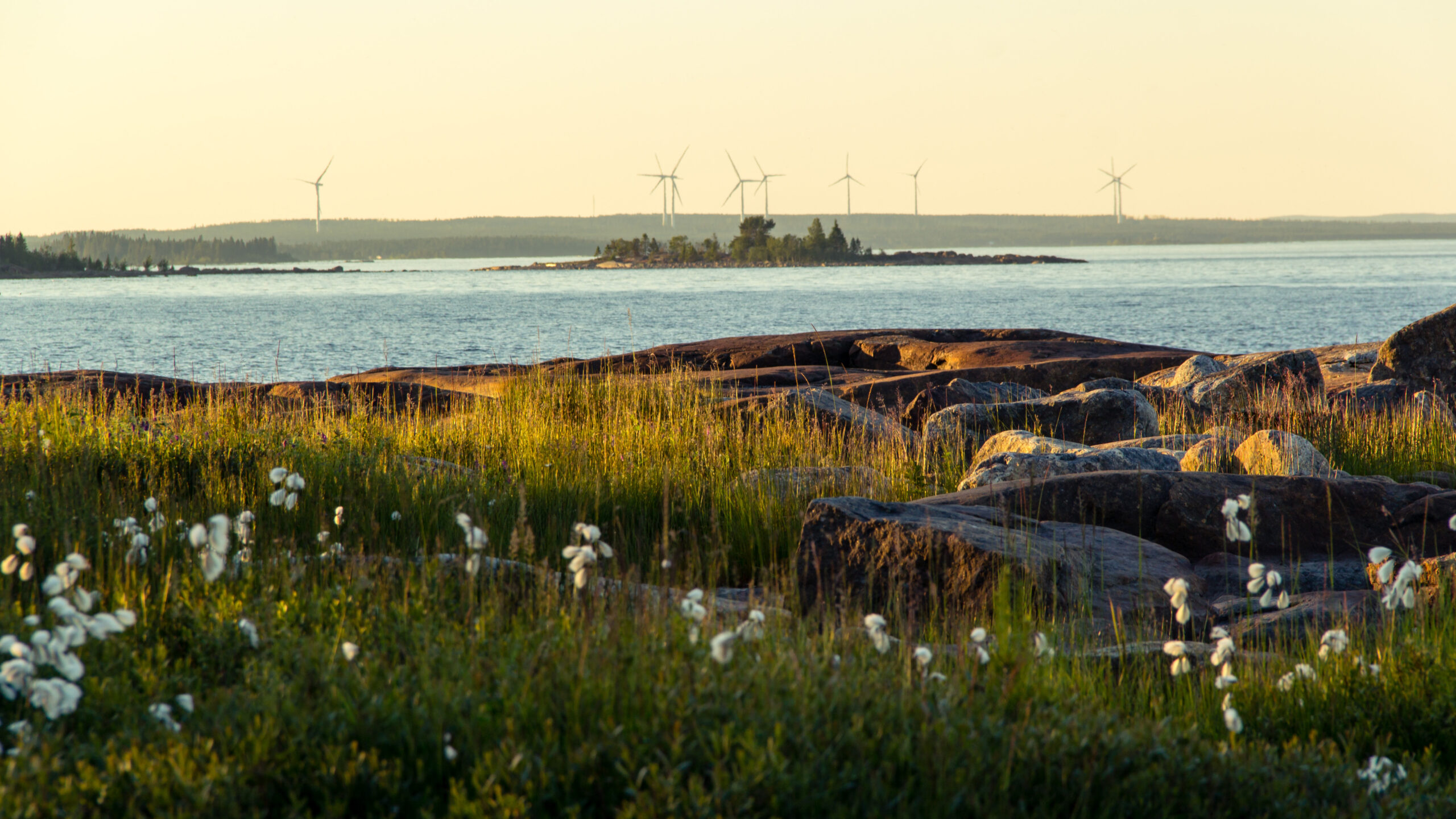 Solnedgång vid kusten i Robertsfors med vindkraftverk i bakgrunden – ett exempel på förnybar energi i kommunen.